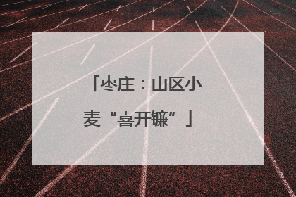 枣庄：山区小麦“喜开镰”