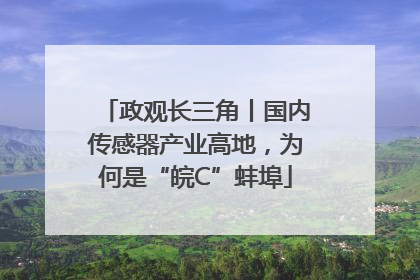 政观长三角丨国内传感器产业高地，为何是“皖C”蚌埠
