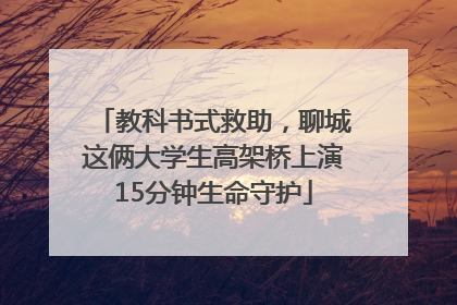 教科书式救助，聊城这俩大学生高架桥上演15分钟生命守护