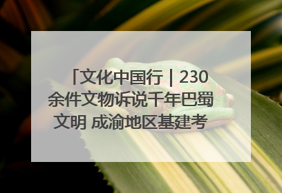 文化中国行｜230余件文物诉说千年巴蜀文明 成渝地区基建考古成果展开展