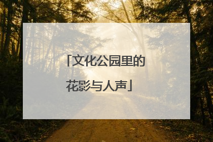文化公园里的花影与人声