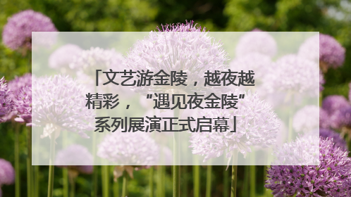 文艺游金陵，越夜越精彩，“遇见夜金陵”系列展演正式启幕