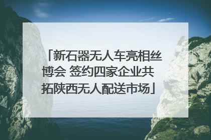 新石器无人车亮相丝博会 签约四家企业共拓陕西无人配送市场