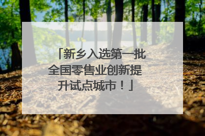 新乡入选第一批全国零售业创新提升试点城市！