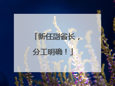 新任副省长，分工明确！
