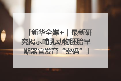 新华全媒+｜最新研究揭示哺乳动物胚胎早期器官发育“密码”