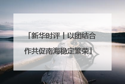 新华时评丨以团结合作共促南海稳定繁荣