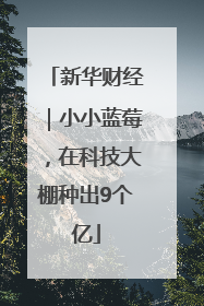 新华财经｜小小蓝莓，在科技大棚种出9个亿