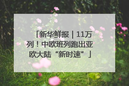 新华鲜报｜11万列！中欧班列跑出亚欧大陆“新时速”