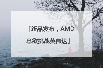 新品发布，AMD意欲挑战英伟达