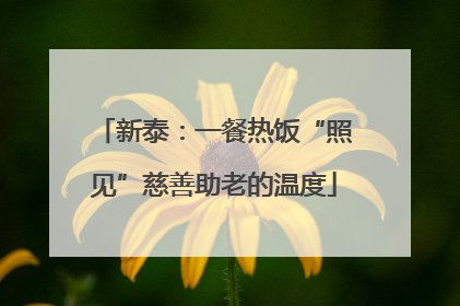 新泰：一餐热饭“照见”慈善助老的温度