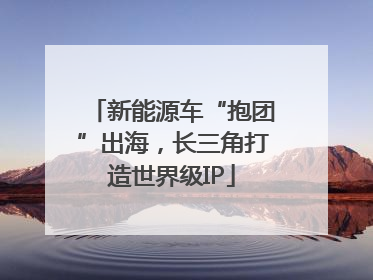 新能源车“抱团”出海，长三角打造世界级IP