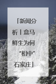 新闻分析丨盒马鲜生为何“相中”石家庄