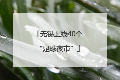 无锡上线40个“足球夜市”