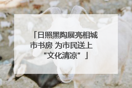 日照黑陶展亮相城市书房 为市民送上“文化清凉”