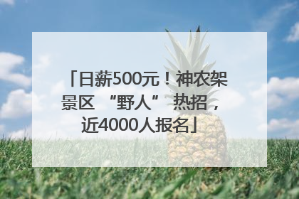 日薪500元！神农架景区 “野人” 热招，近4000人报名