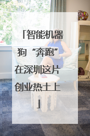 智能机器狗“奔跑”在深圳这片创业热土上