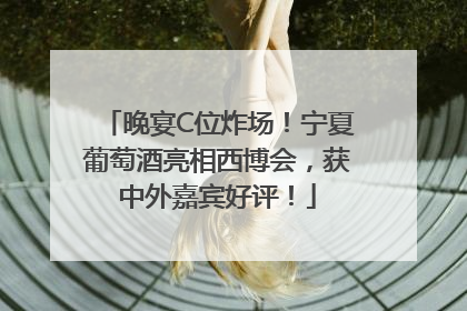 晚宴C位炸场！宁夏葡萄酒亮相西博会，获中外嘉宾好评！