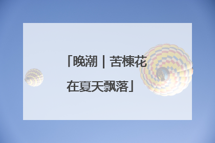 晚潮｜苦楝花在夏天飘落
