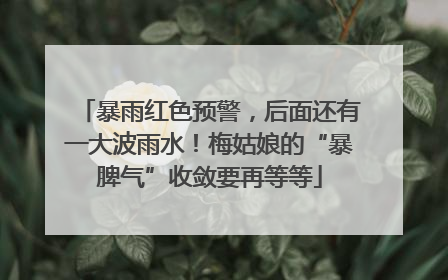 暴雨红色预警，后面还有一大波雨水！梅姑娘的“暴脾气”收敛要再等等