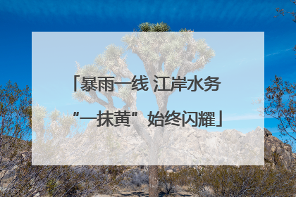 暴雨一线 江岸水务“一抹黄”始终闪耀