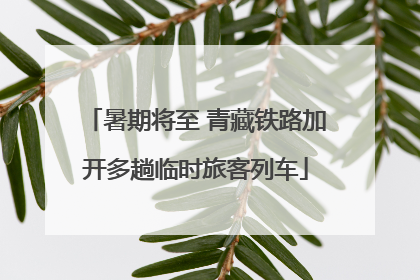 暑期将至 青藏铁路加开多趟临时旅客列车