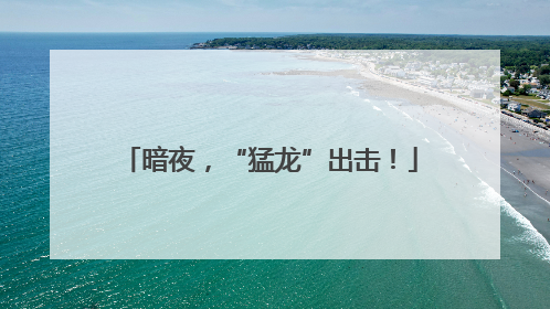 暗夜，“猛龙”出击！