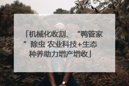 机械化收割、“鸭管家”除虫 农业科技+生态种养助力增产增收