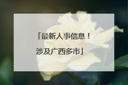 最新人事信息！涉及广西多市