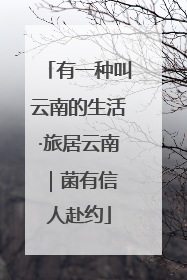 有一种叫云南的生活·旅居云南｜菌有信 人赴约