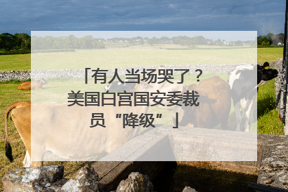 有人当场哭了？美国白宫国安委裁员“降级”