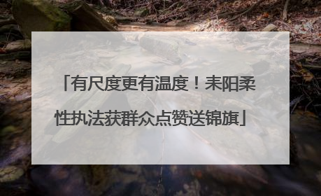 有尺度更有温度！耒阳柔性执法获群众点赞送锦旗