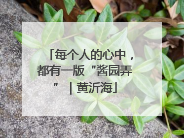 每个人的心中，都有一版“酱园弄”｜黄沂海