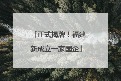 正式揭牌！福建新成立一家国企