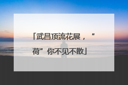 武昌顶流花展，“荷”你不见不散