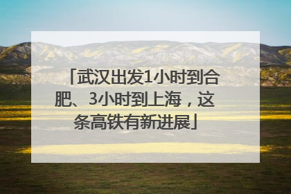 武汉出发1小时到合肥、3小时到上海，这条高铁有新进展