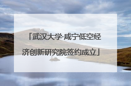 武汉大学·咸宁低空经济创新研究院签约成立