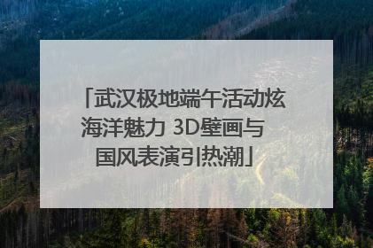 武汉极地端午活动炫海洋魅力 3D壁画与国风表演引热潮