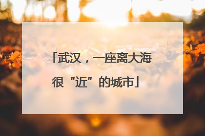武汉，一座离大海很“近”的城市