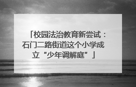 校园法治教育新尝试：石门二路街道这个小学成立“少年调解庭”