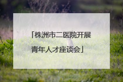 株洲市二医院开展青年人才座谈会
