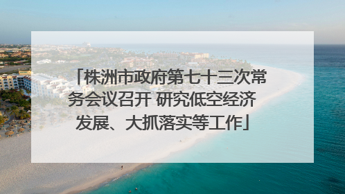 株洲市政府第七十三次常务会议召开 研究低空经济发展、大抓落实等工作