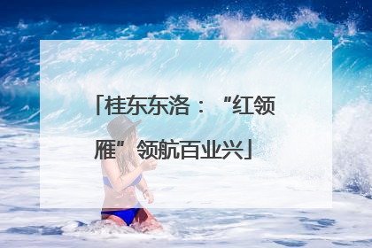 桂东东洛：“红领雁”领航百业兴