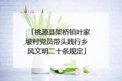 桃源县架桥镇叶家坡村党员带头践行乡风文明二十条规定