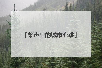 桨声里的城市心跳