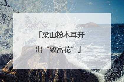 梁山粉木耳开出“致富花”
