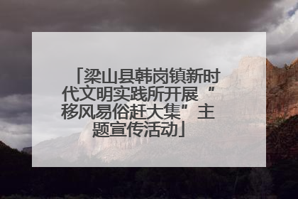 梁山县韩岗镇新时代文明实践所开展“移风易俗赶大集”主题宣传活动