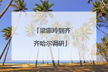 梁惠玲到齐齐哈尔调研