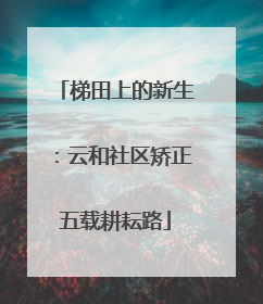 梯田上的新生：云和社区矫正五载耕耘路
