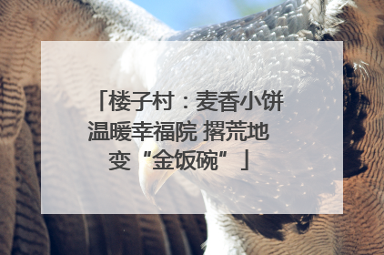 楼子村：麦香小饼温暖幸福院 撂荒地变“金饭碗”